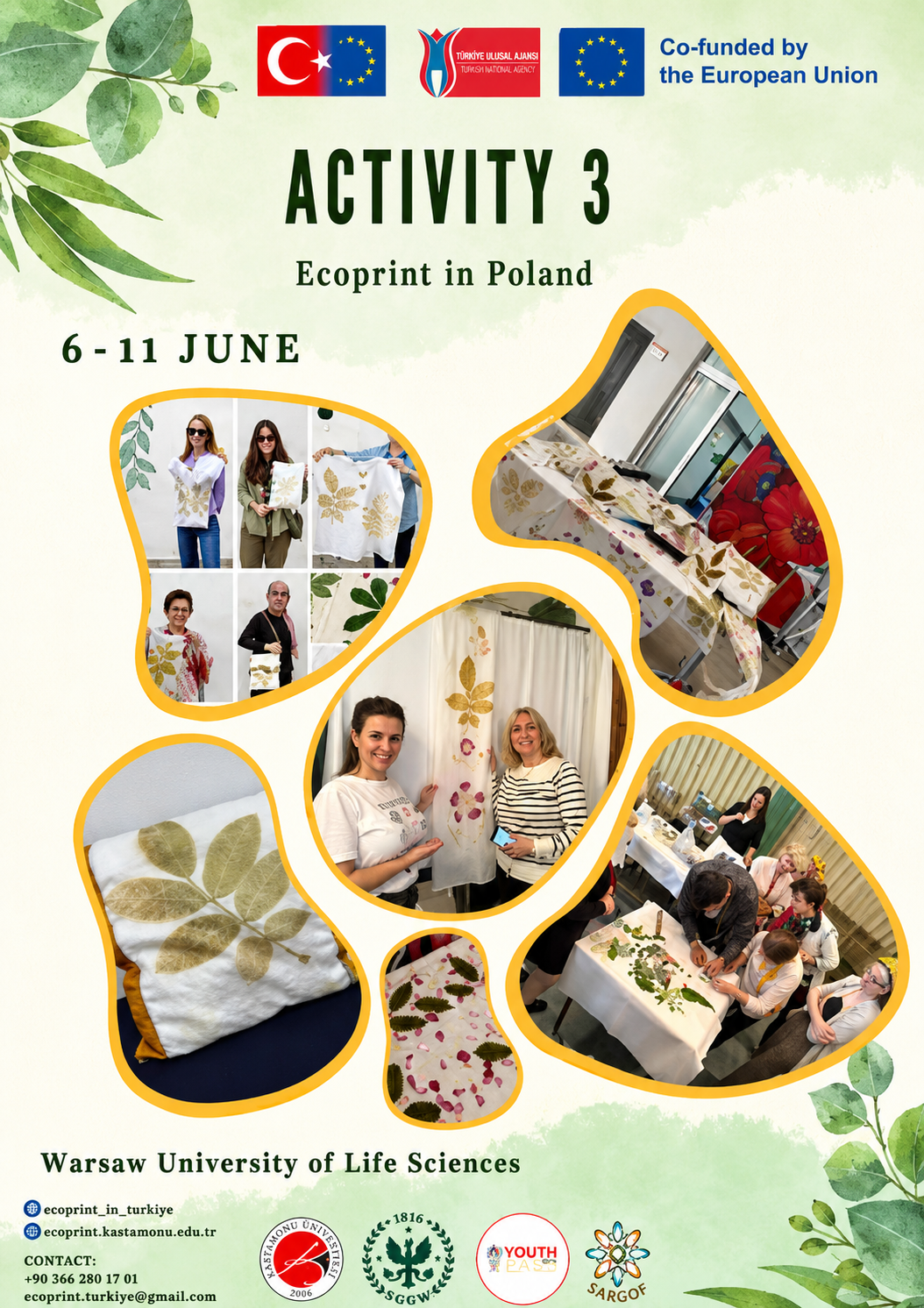ACTIVITY III